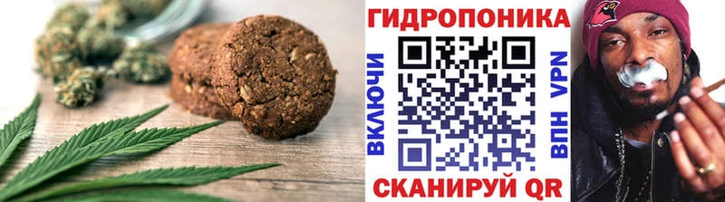 OMG ONION  Дагестанские Огни  Canna-Cookies конопля 