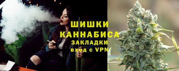 винт Богданович