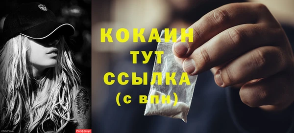 шишки Волоколамск