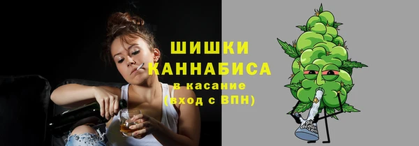 бошки Бронницы