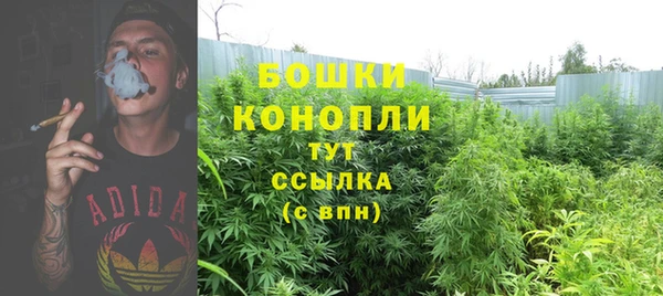 бошки Бронницы