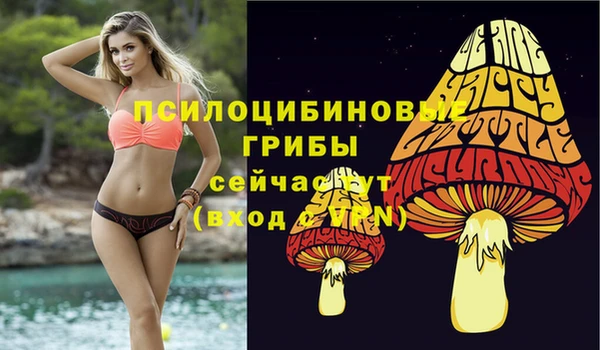 бошки Бронницы